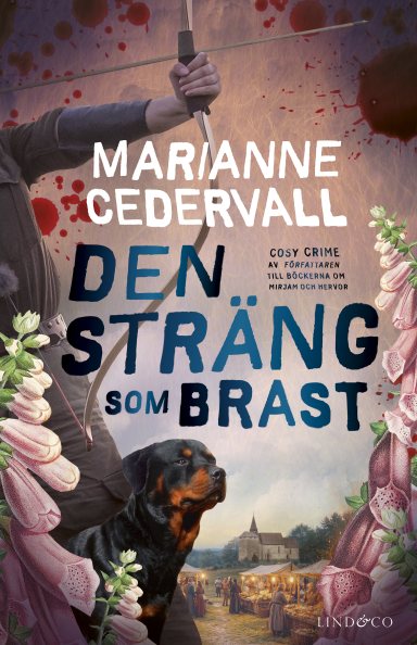 Omslag: Den sträng som brast